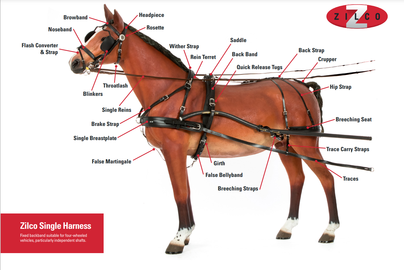 Zilco Europe Zilco Harness Diagram